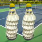 Economy Practice Shuttlecocks Pack – Budget Badminton Shuttles for Training