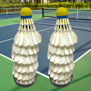 Economy Practice Shuttlecocks Pack – Budget Badminton Shuttles for Training