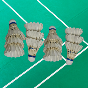 Aerosensa Feather Shuttlecocks Pack of 12 – Premium Badminton Shuttles for Training & Matches