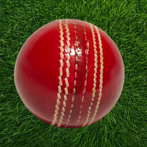Premium Hard Ball – Match Quality Cricket Ball (T20 / ODI – 40 Overs)