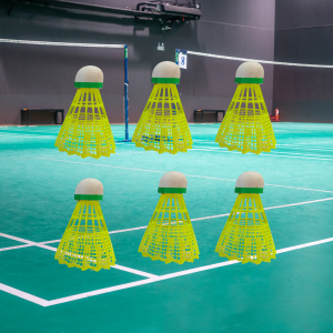 Badminton Shuttlecocks 6 Pcs with Plastic Storage Box – Premium Quality Shuttles